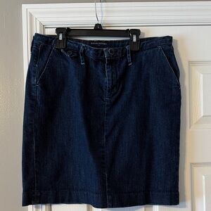 Banana Republic Navy Mini Skirt
